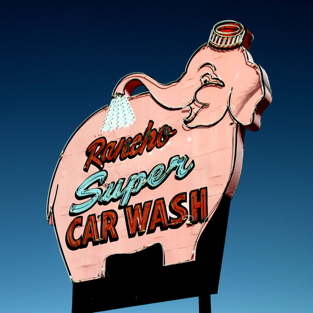 Pinky by Mark Peacock  Image: Photograph