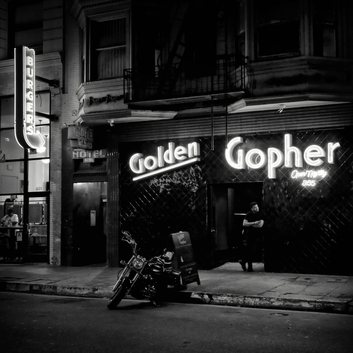 The Golden Gopher by Mark Peacock  Image: Photograph