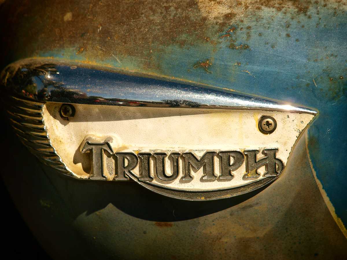 Triumph by Mark Peacock  Image: Photograph