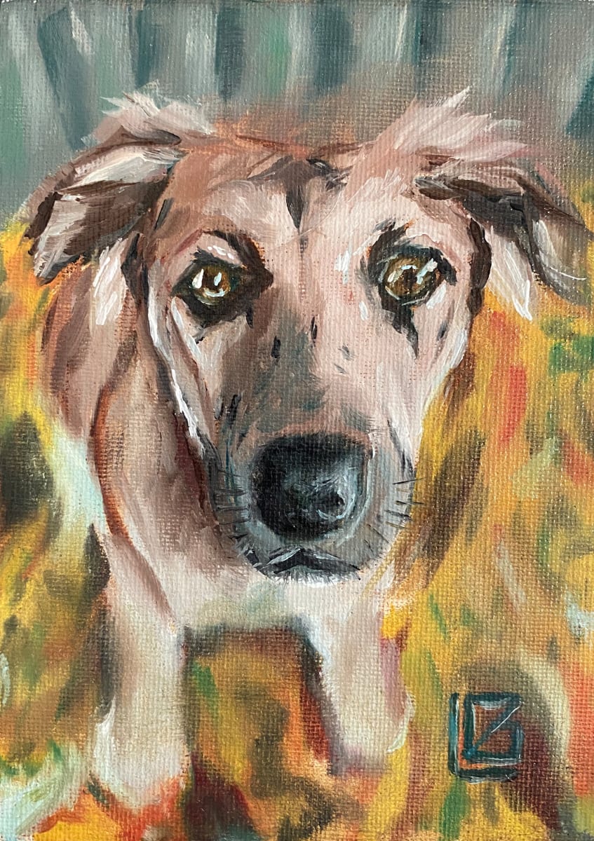 Stella by Gary LaParl 