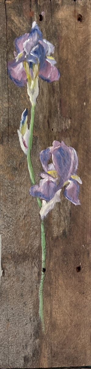 Barnwood Iris by Gary LaParl 