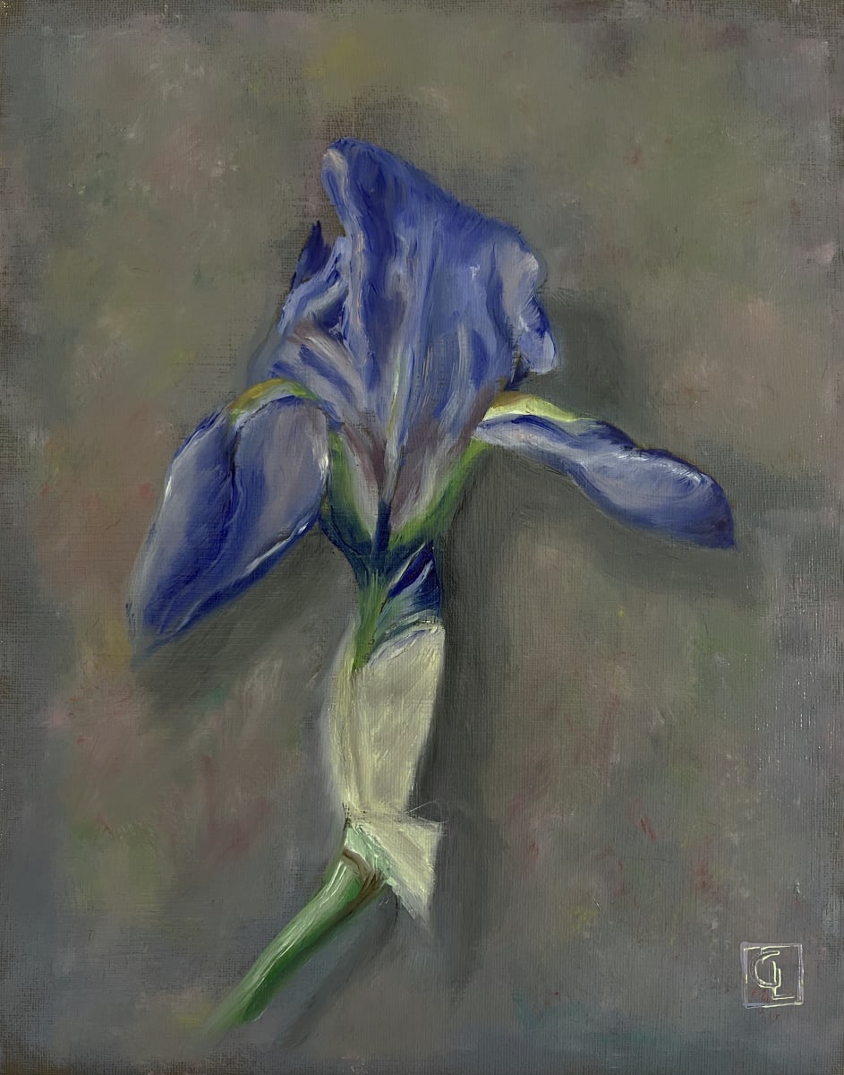 Lygon Iris by Gary LaParl 