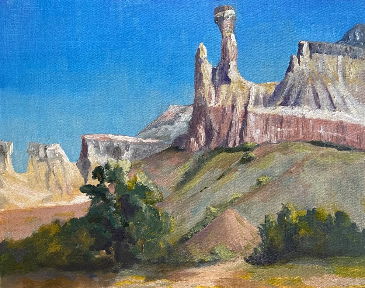 Up to Chimney Rock by Phyllis A. Gunderson 