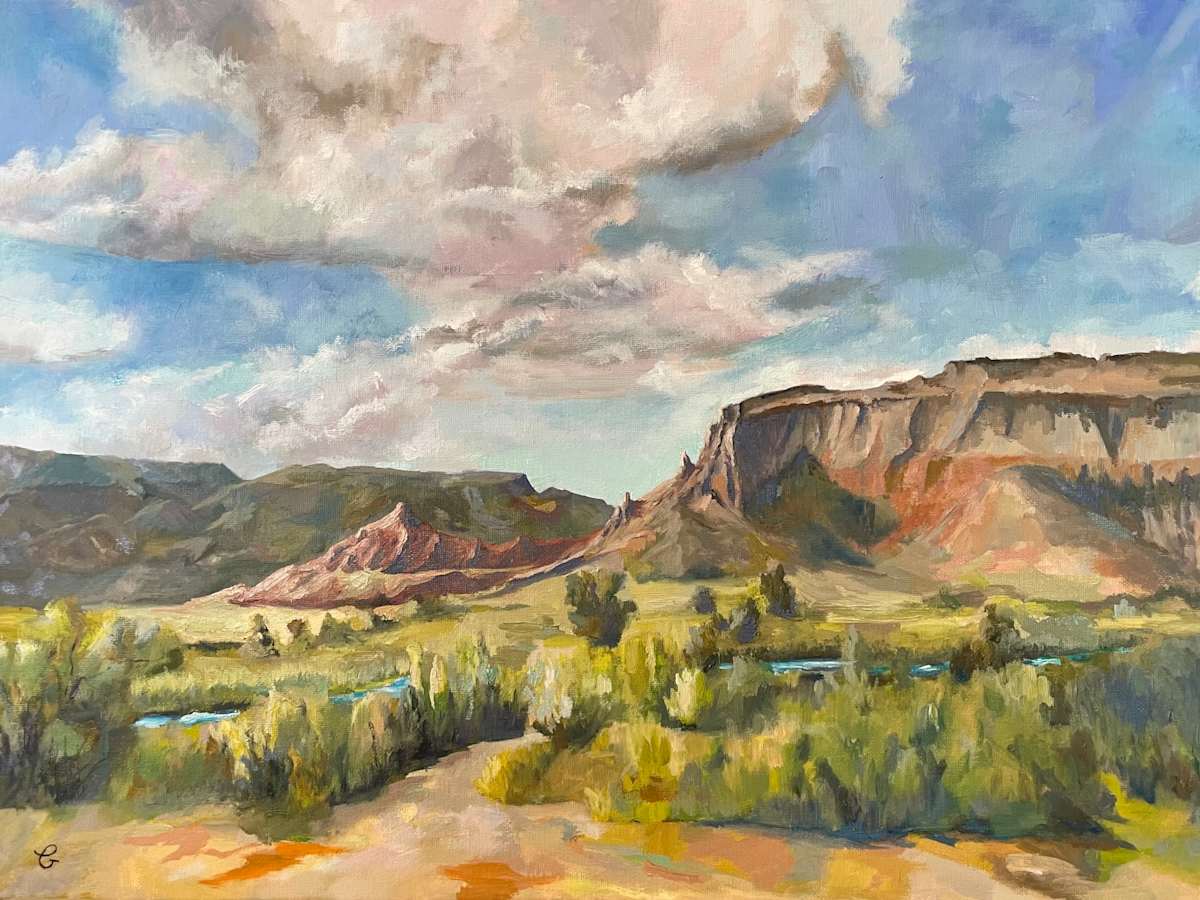 Off the Chama  24120 by Phyllis A. Gunderson 