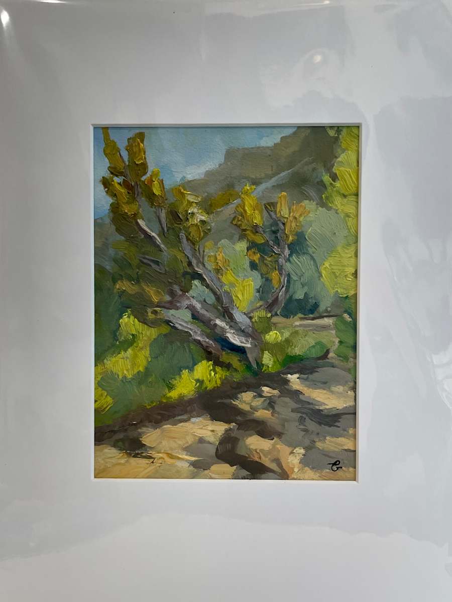 Abiquiu Inn Path by Phyllis A. Gunderson 