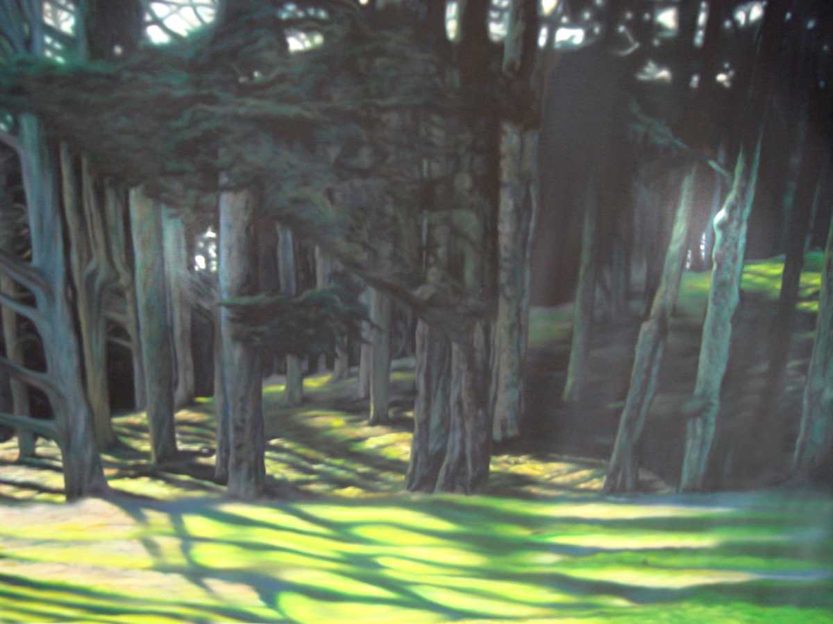 Odd Lights, Image 3.