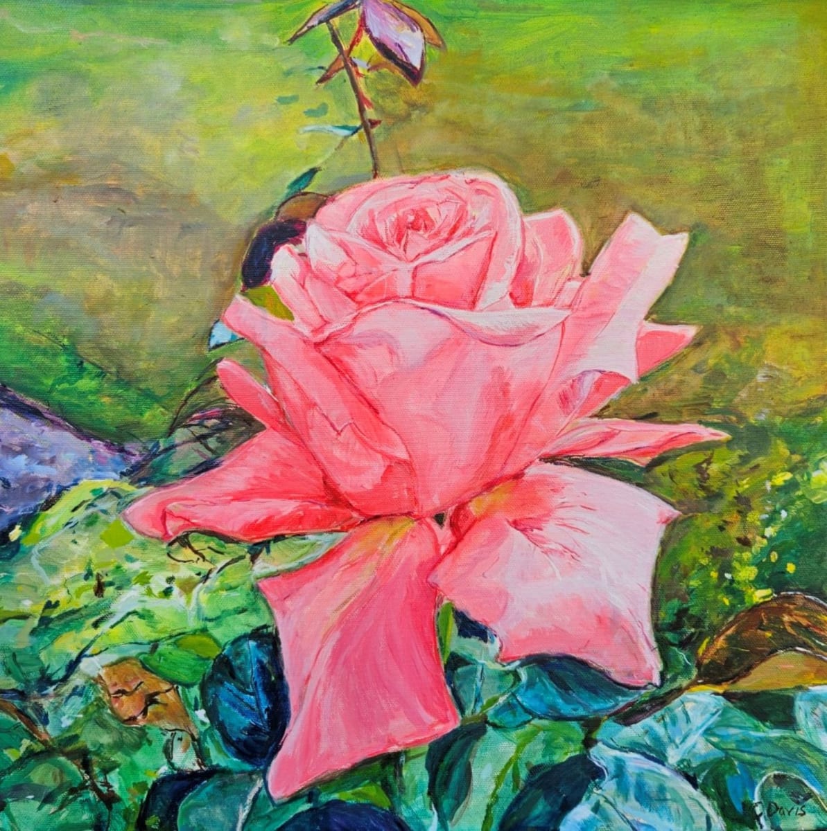 Gorgeous Pink Rose by Christine Davis  Image: Gorgeous Pink Rose