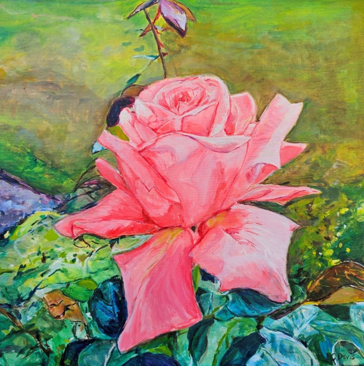 Pink Rose by Christine Davis  Image:  Pink Rose