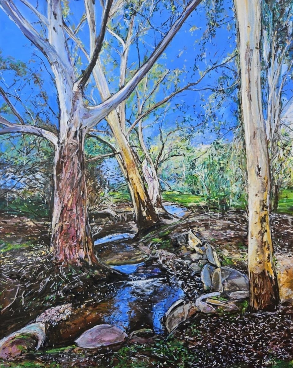 Gums by the creek by Christine Davis  Image: Gums by the creek