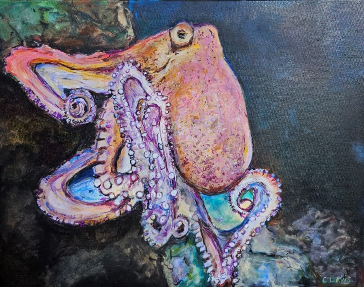 Octopus by Christine Davis  Image: Octopus