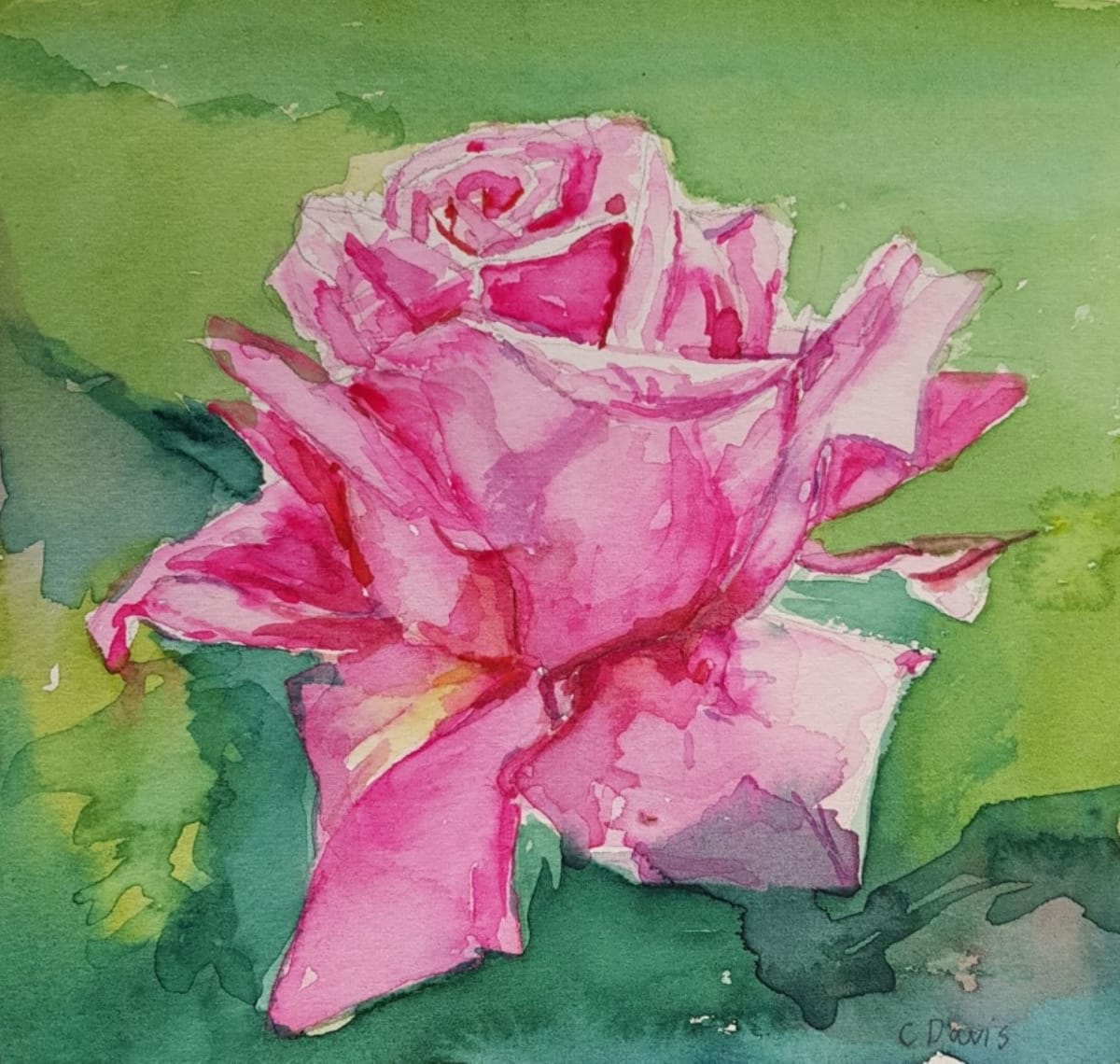 Watercolor Pink Rose  Image: Watercolor Pink Rose