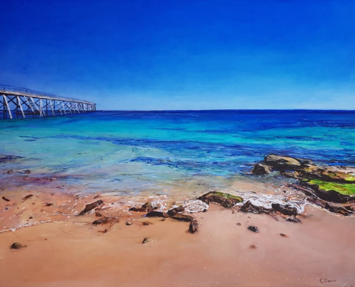 Port Noarlunga Beach by Christine Davis  Image: Port Noarlunga Beach