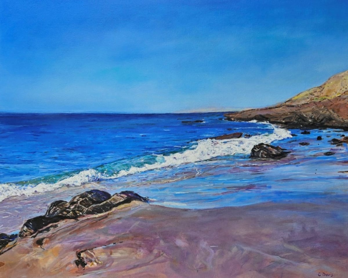 Second Valley Beach by Christine Davis  Image: Second Valley Beach