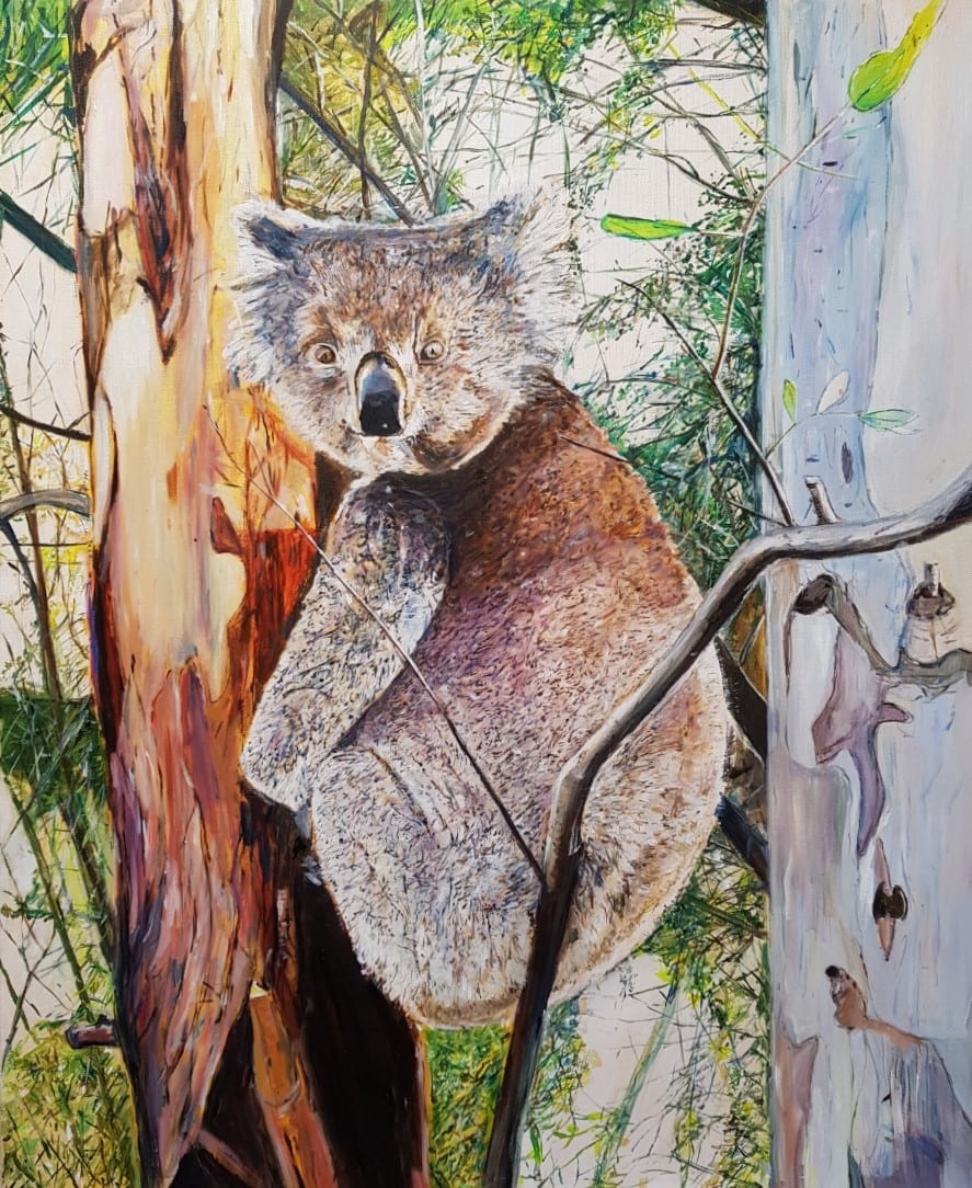 Koala by Christine Davis  Image: Koala oil painting on stretched canvas