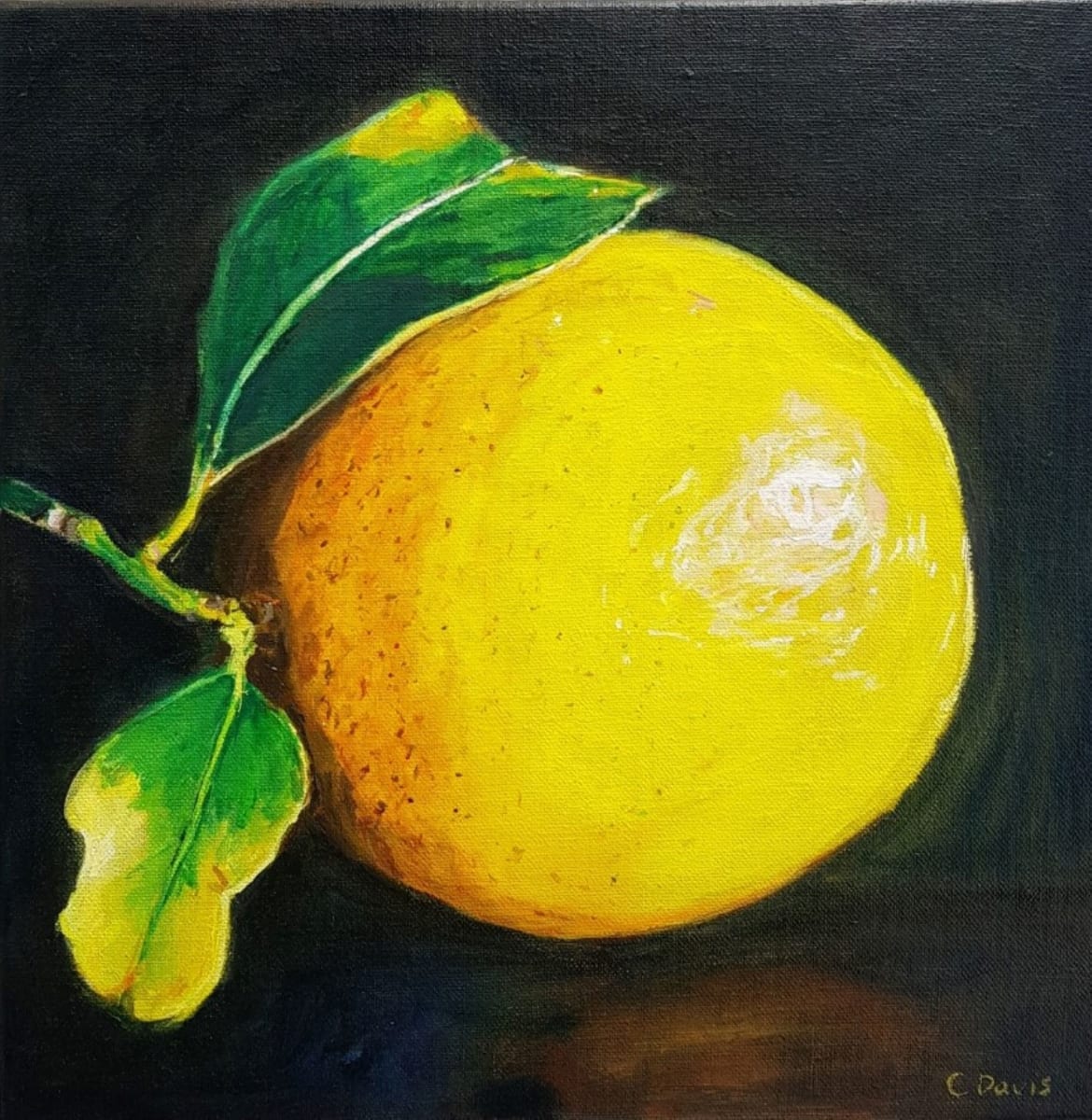 Lemon by Christine Davis  Image: Lemon oil painting