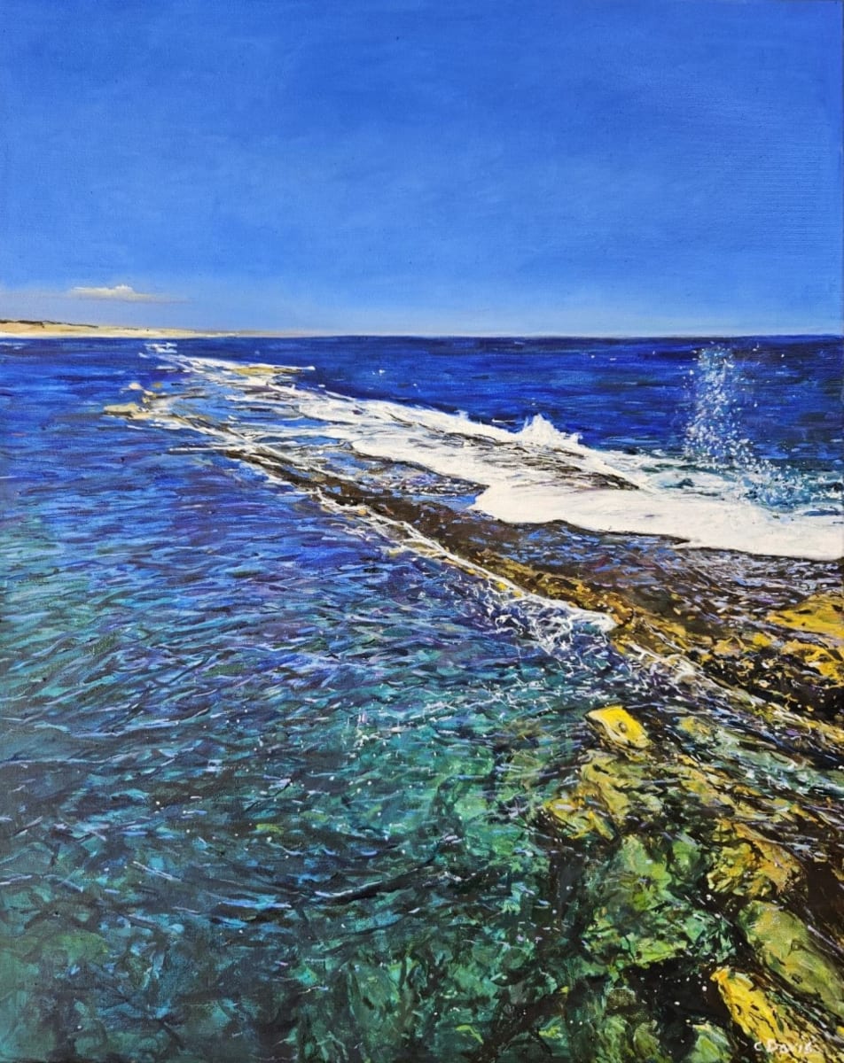 Port Noarlunga Reef by Christine Davis  Image: Port Noarlunga Reef