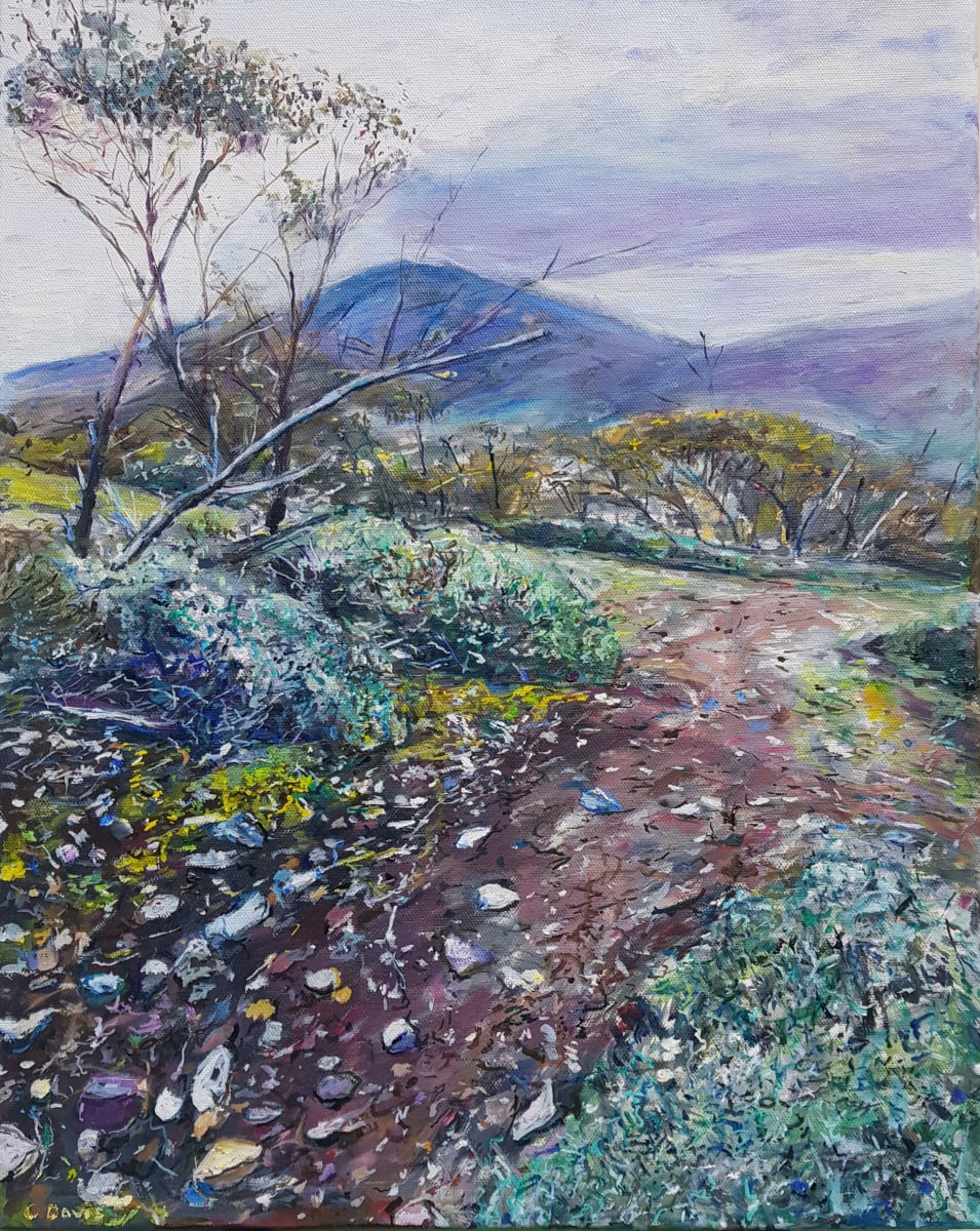 Adelaide Hills Landscape by Christine Davis  Image: Adelaide Hills Landscape oil painting