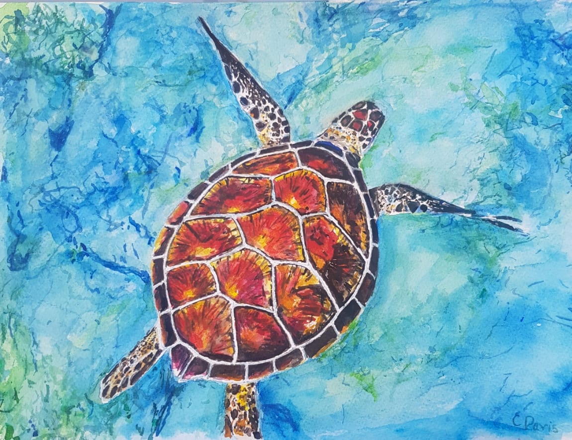 Sea turtle by Christine Davis | Artwork Archive