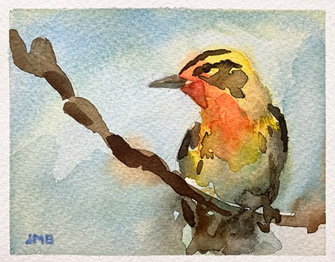 Bird Study in Watercolour 