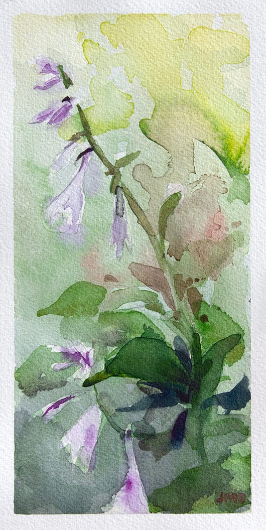 My Sister's Plantain Lilies by Jason Bentley, Image 1.