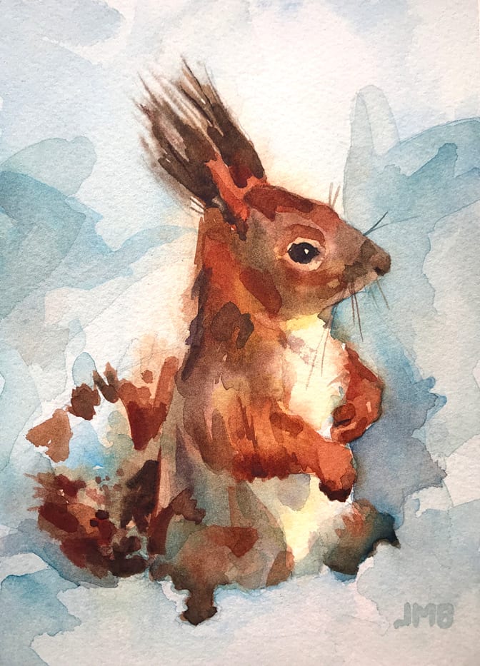 Red Squirrel In The Snow 