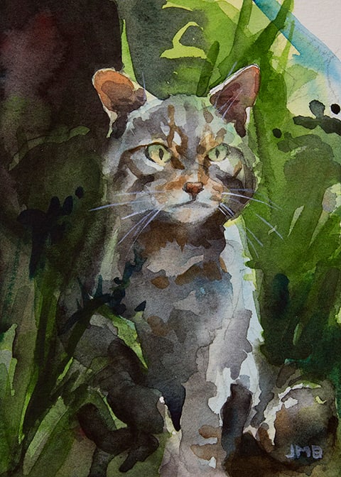 Scottish Wildcat by Jason Michael Bentley, Image 1.