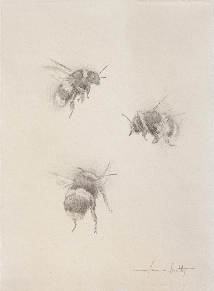 Study of Three Bumble Bees II by Jason Bentley 