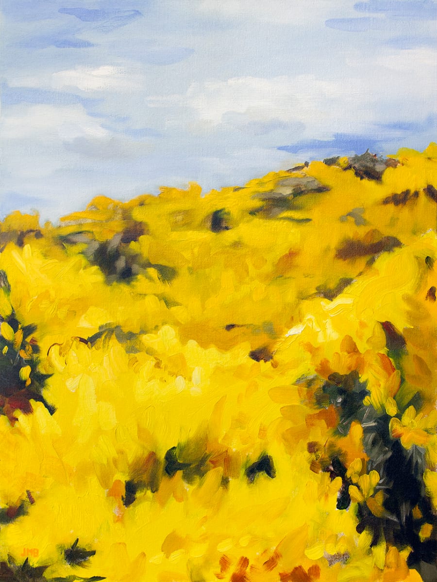 Wild Gorse V - Field Of Yellow 