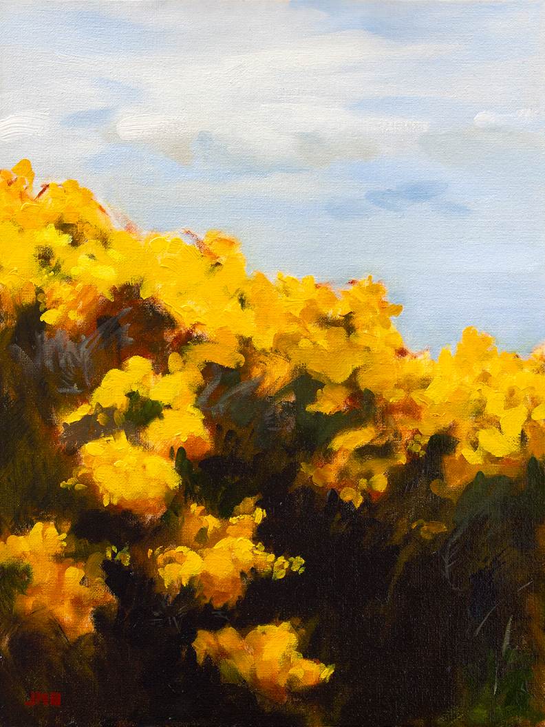 Wild Gorse VI - Blooms & Thorns by Jason Michael Bentley, Image 2.