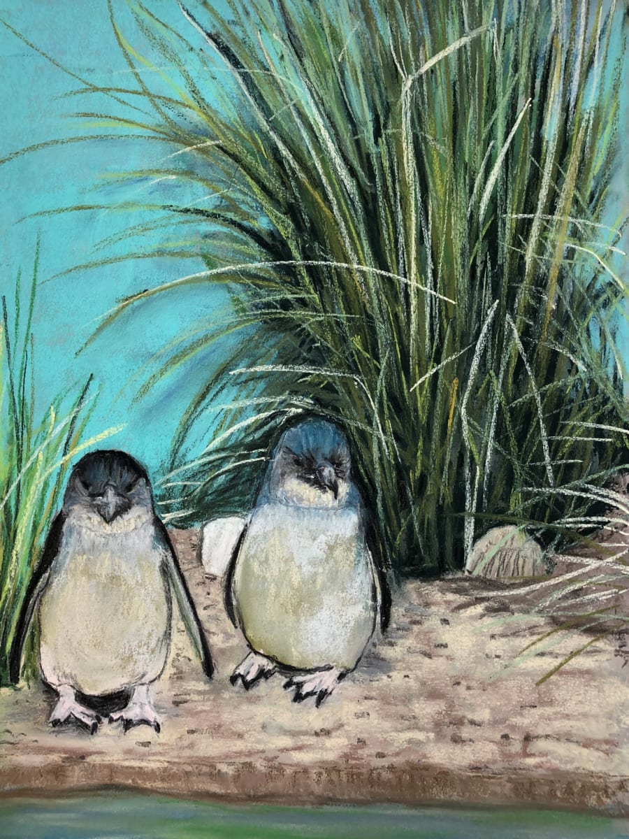 Penguins, BronX Zoo, Image 1.