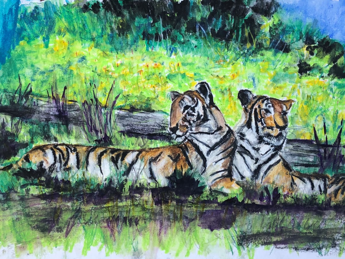 Tigers, Bronx Zoo, Image 1.