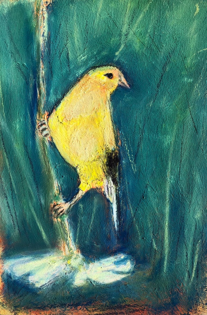 Finch in the Garden 