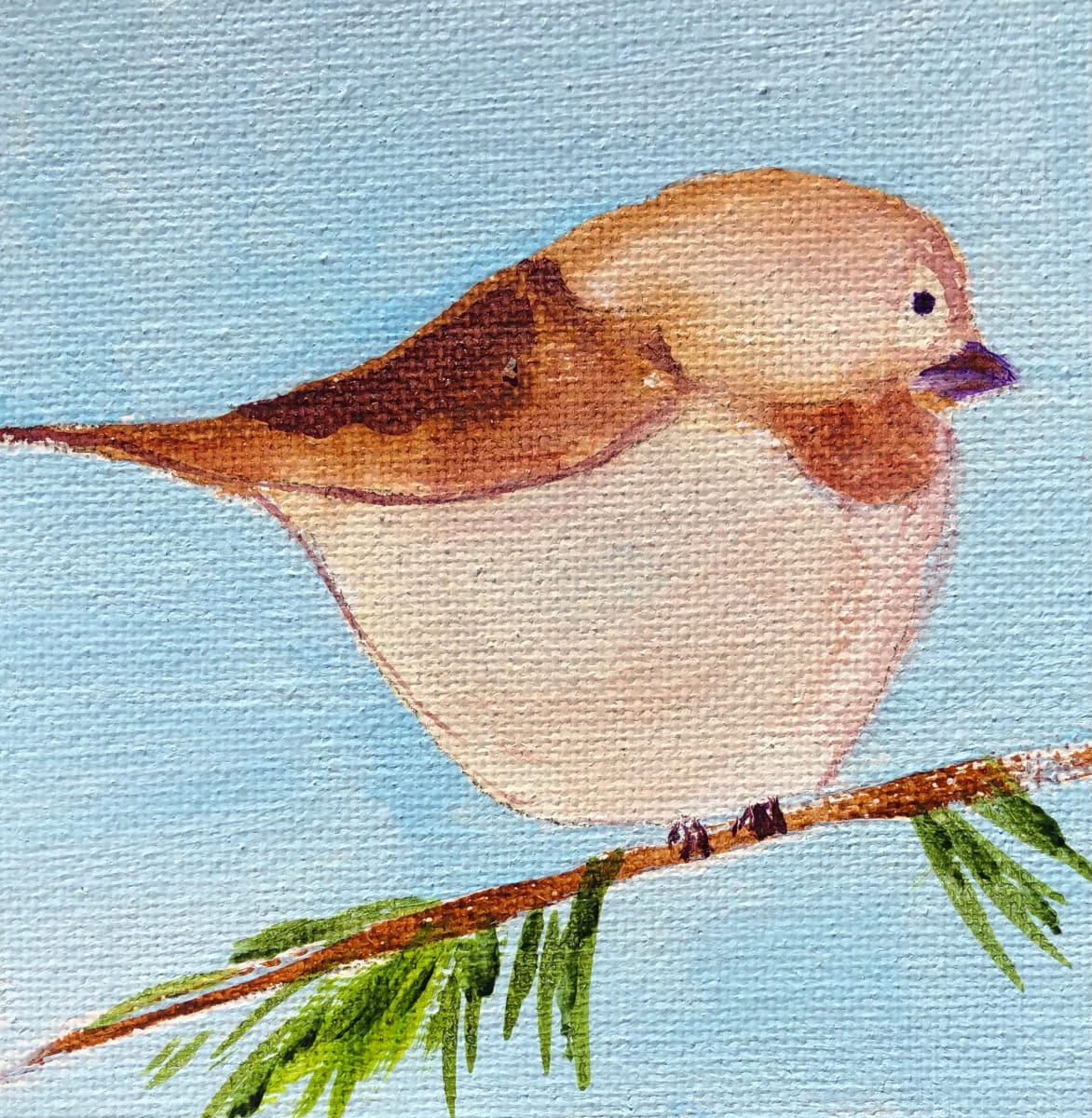 Chickadee, Image 1.