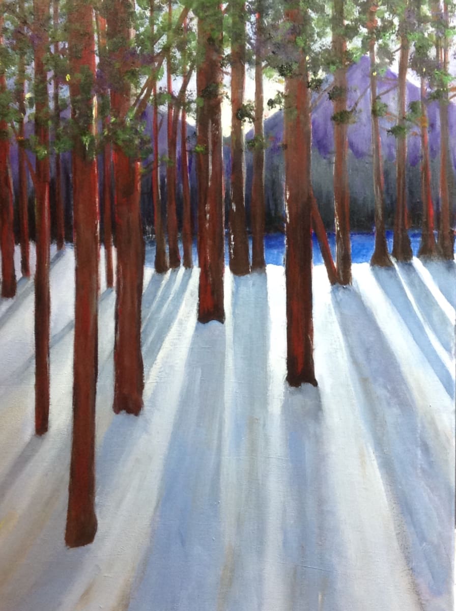 Tree Shadows, Image 1.