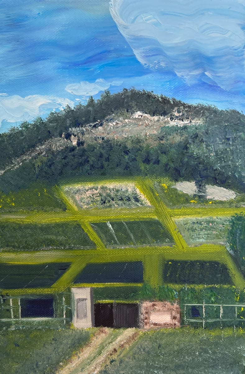 Viñedo - Vineyard by Carolina (Caro)  Ramonde  Image: Viñedo en Uruguay
Vineyard on Uruguay