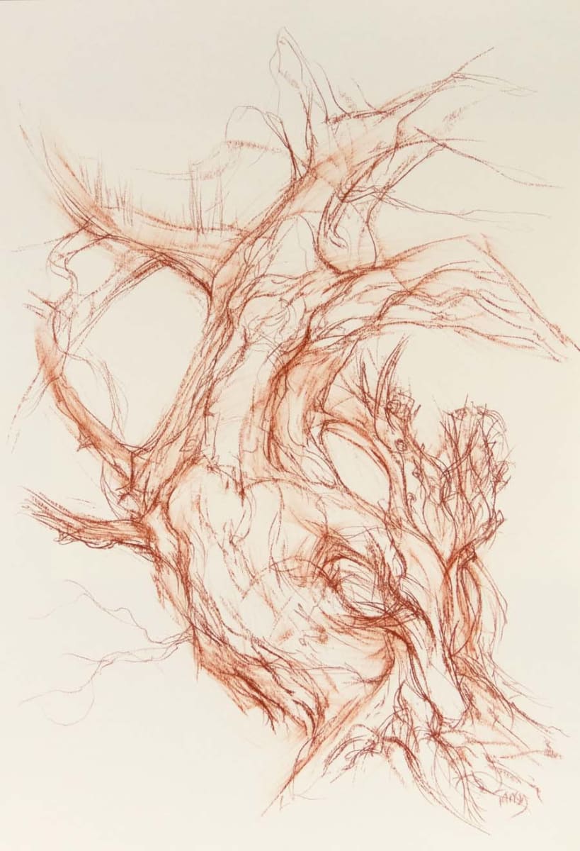 Abercorn yew north by Tansy Lee Moir  Image: Artwork 