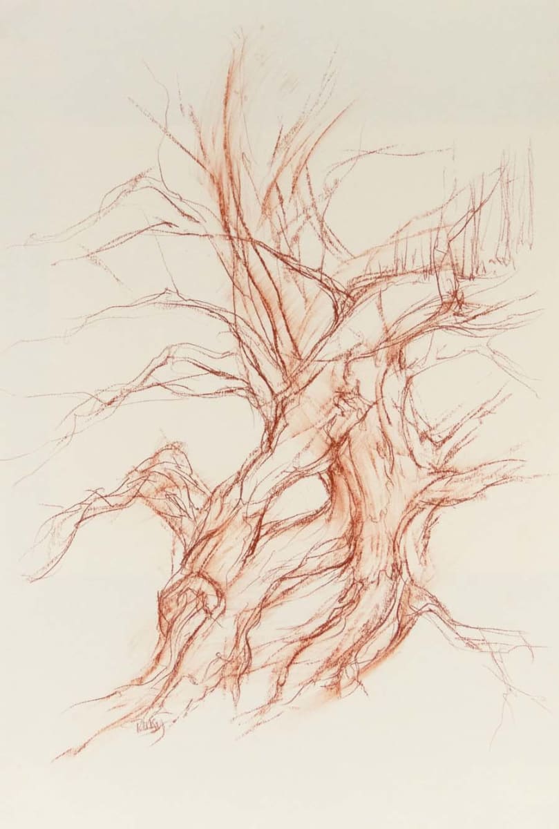 Abercorn yew south 2 by Tansy Lee Moir  Image: Artwork 