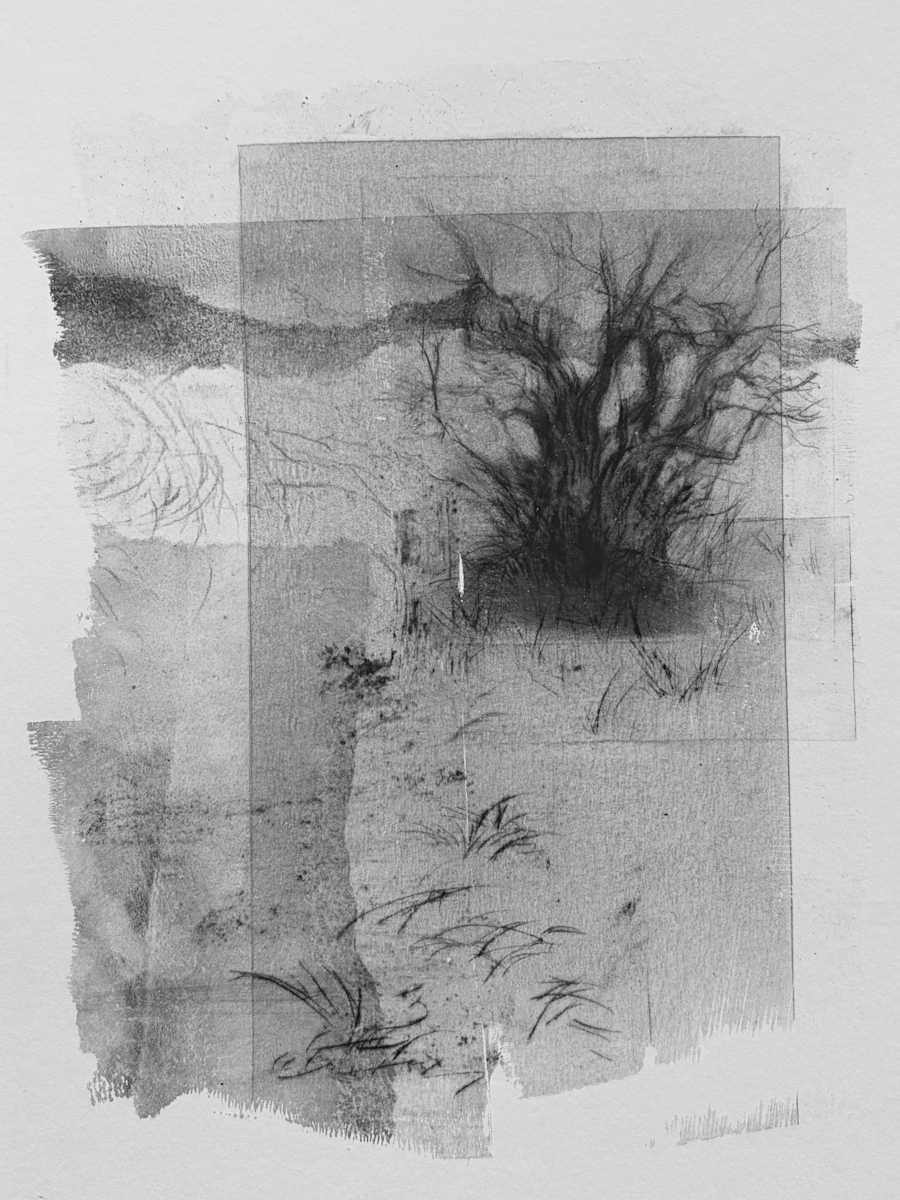 Alder pastures 18 by Tansy Lee Moir, Image 1.