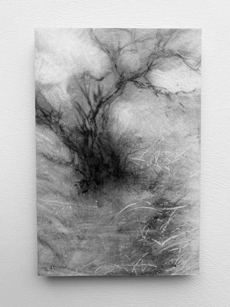 Alder fragments  III by Tansy Lee Moir, Image 1.