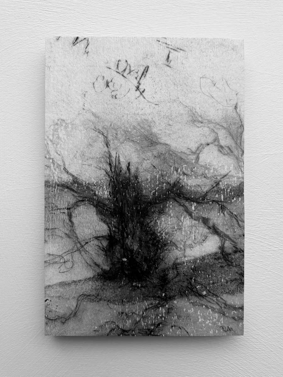 Alder fragments IX by Tansy Lee Moir, Image 1.
