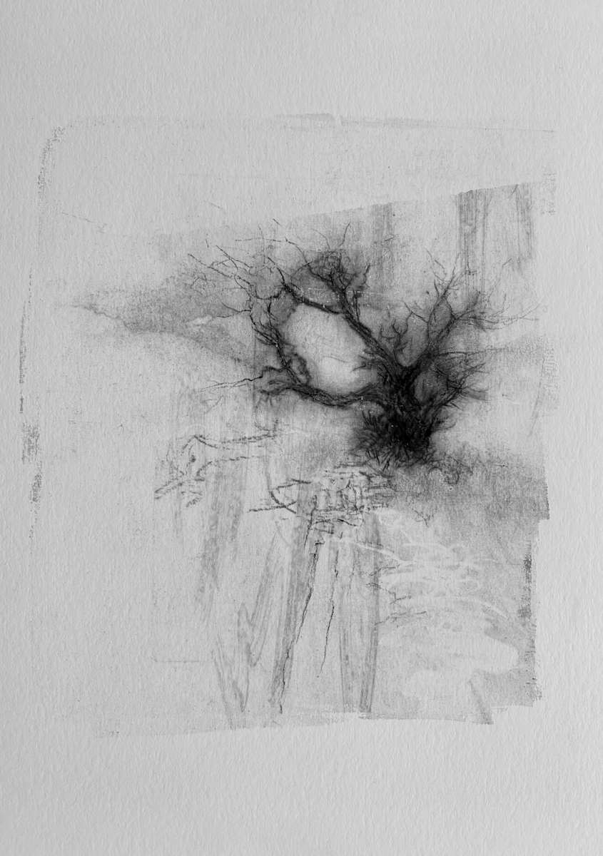 Alder pastures 11 by Tansy Lee Moir, Image 1.