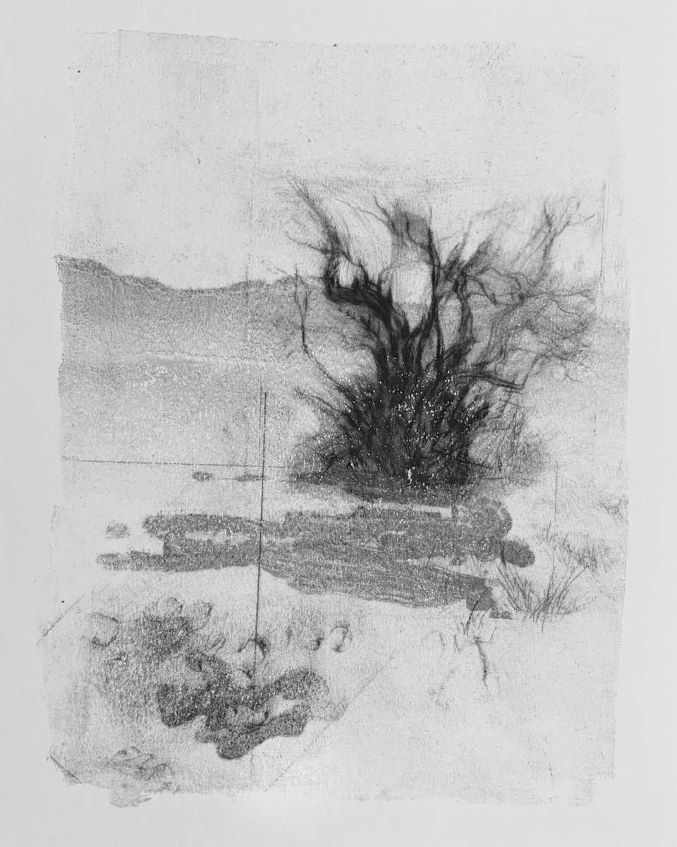 Alder pastures 19 by Tansy Lee Moir, Image 1.