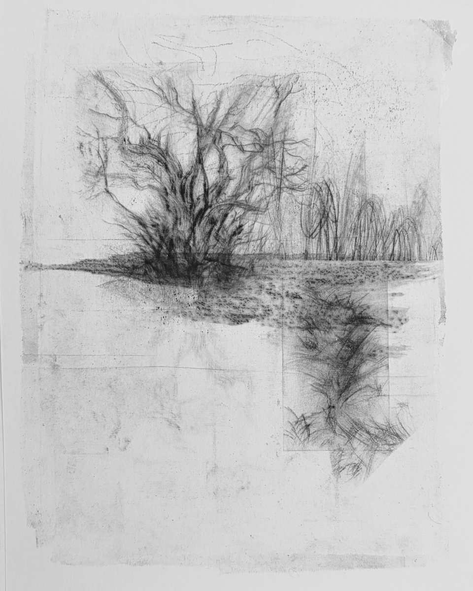 Alder pastures 25 by Tansy Lee Moir, Image 1.