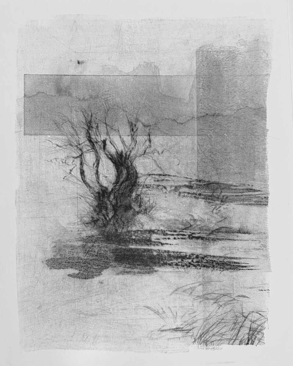Alder pastures 27 by Tansy Lee Moir, Image 1.
