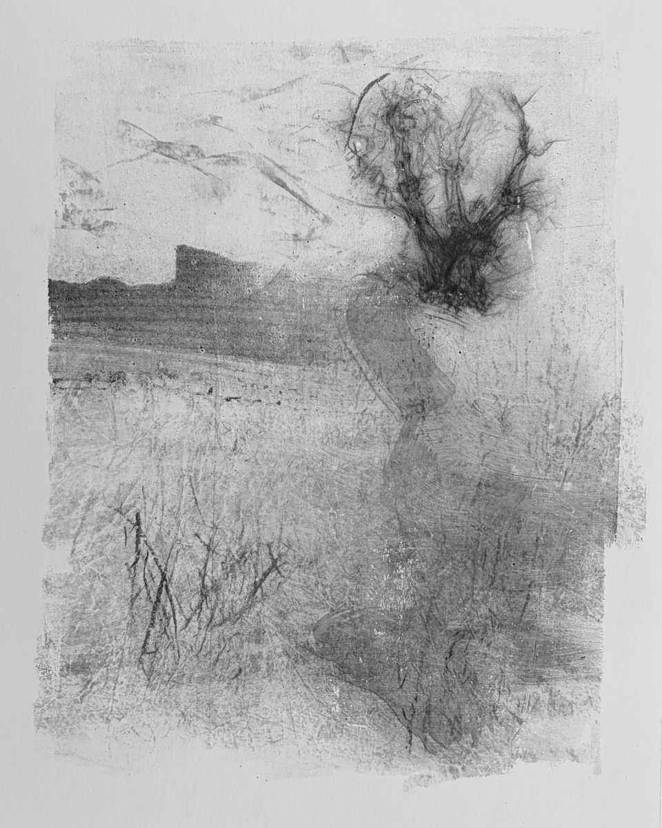 Alder pastures 5 by Tansy Lee Moir, Image 1.