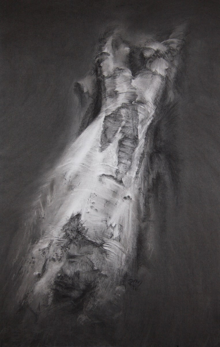 Beecraigs ghost beech 3, Image 1.