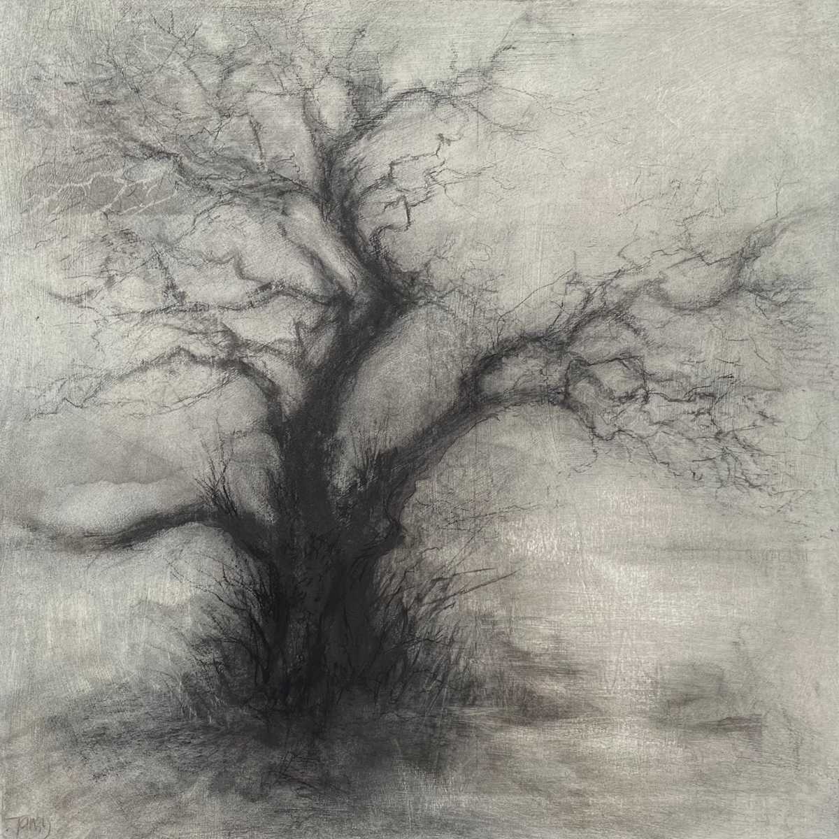 Between places by Tansy Lee Moir, Image 1.