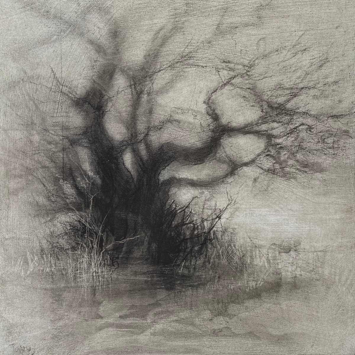 Boundary by Tansy Lee Moir, Image 1.