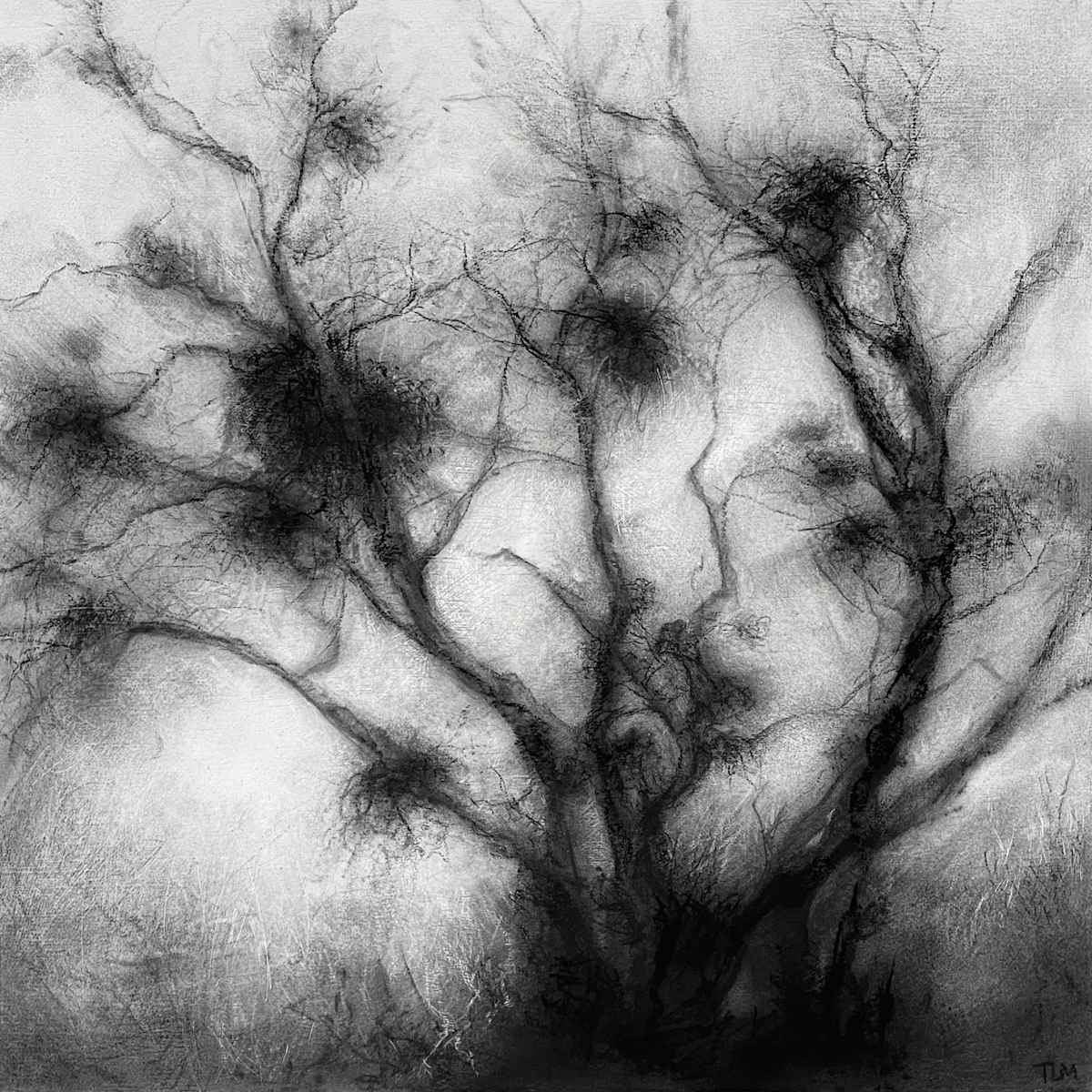 Bruim by Tansy Lee Moir, Image 7.