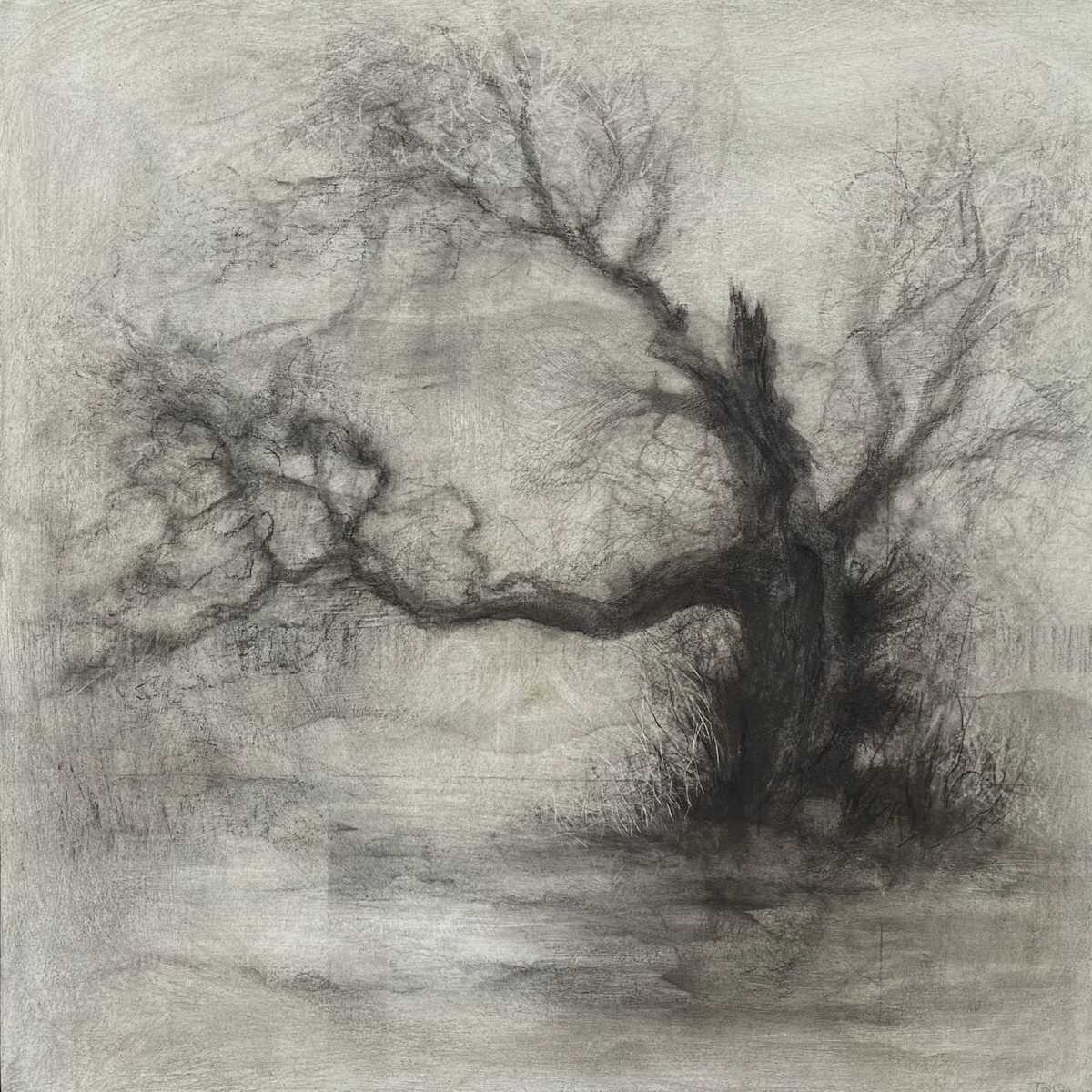 By the source by Tansy Lee Moir, Image 1.